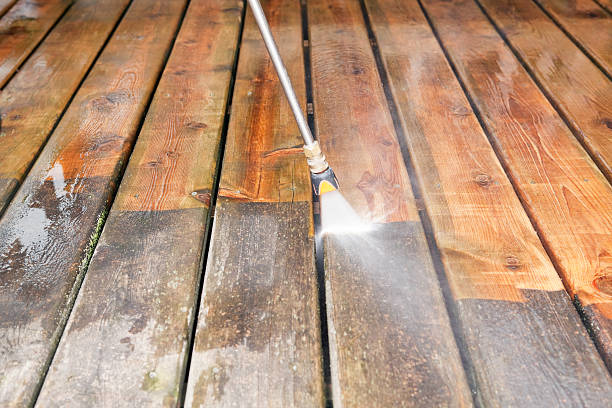 Best Animal Enclosure Cleaning  in Hokendauqua, PA